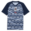 Puma 2026 Austria Men's Pre-Match Soccer Jersey
