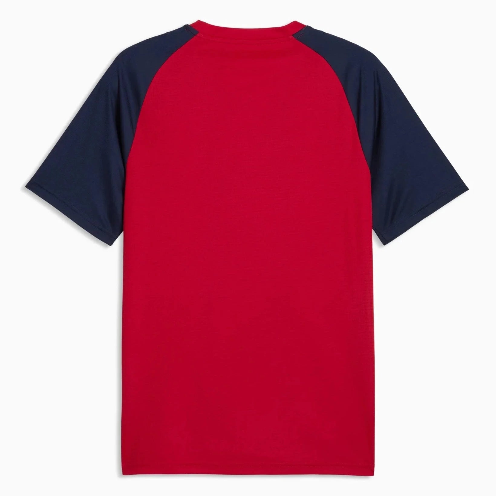 Puma 2026 Czech Republic Men's Pre-Match Soccer Jersey