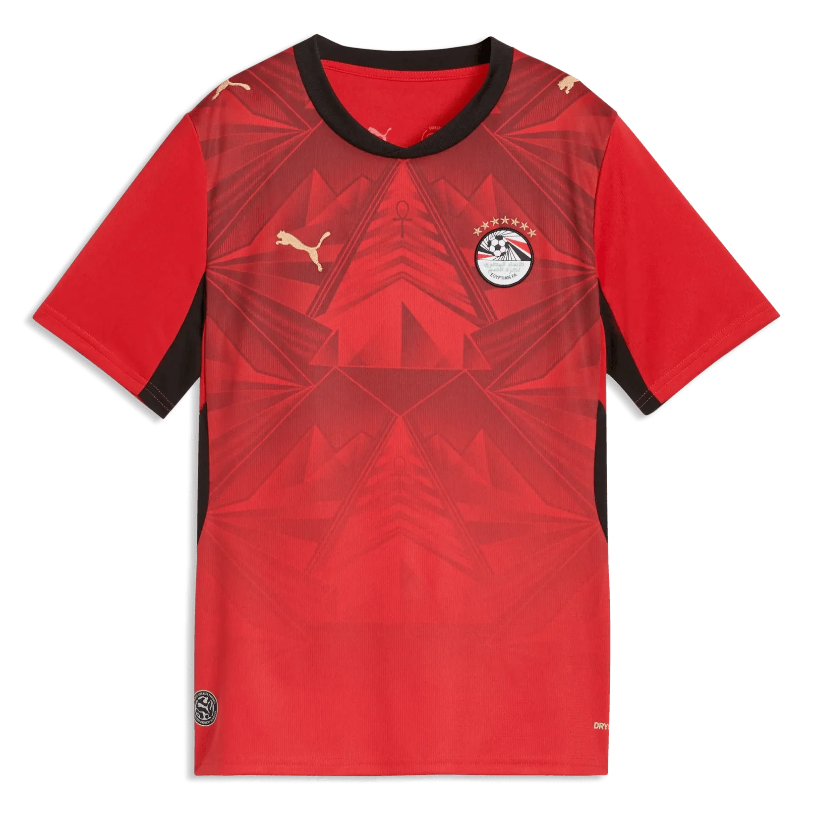 Puma 2026 Egypt Youth Stadium Home Soccer Jersey