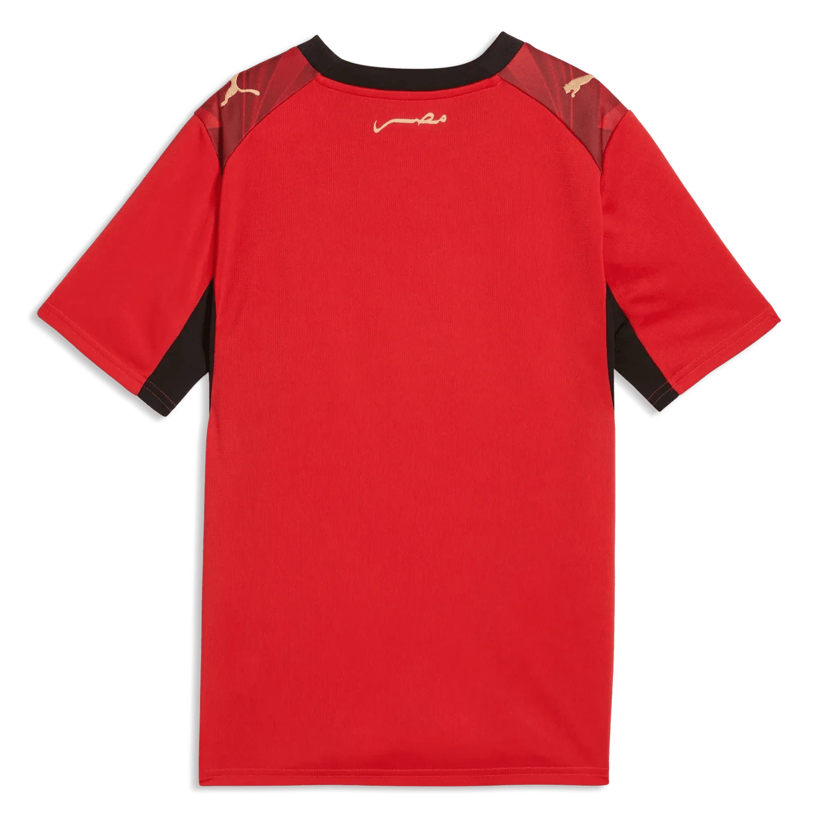 Puma 2026 Egypt Youth Stadium Home Soccer Jersey