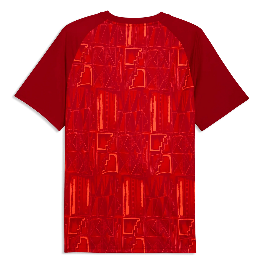 Puma 2026 Ghana Men's Pre-Match Soccer Jersey