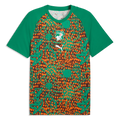Puma 2026 Ivory Coast Men's Pre-Match Soccer Jersey