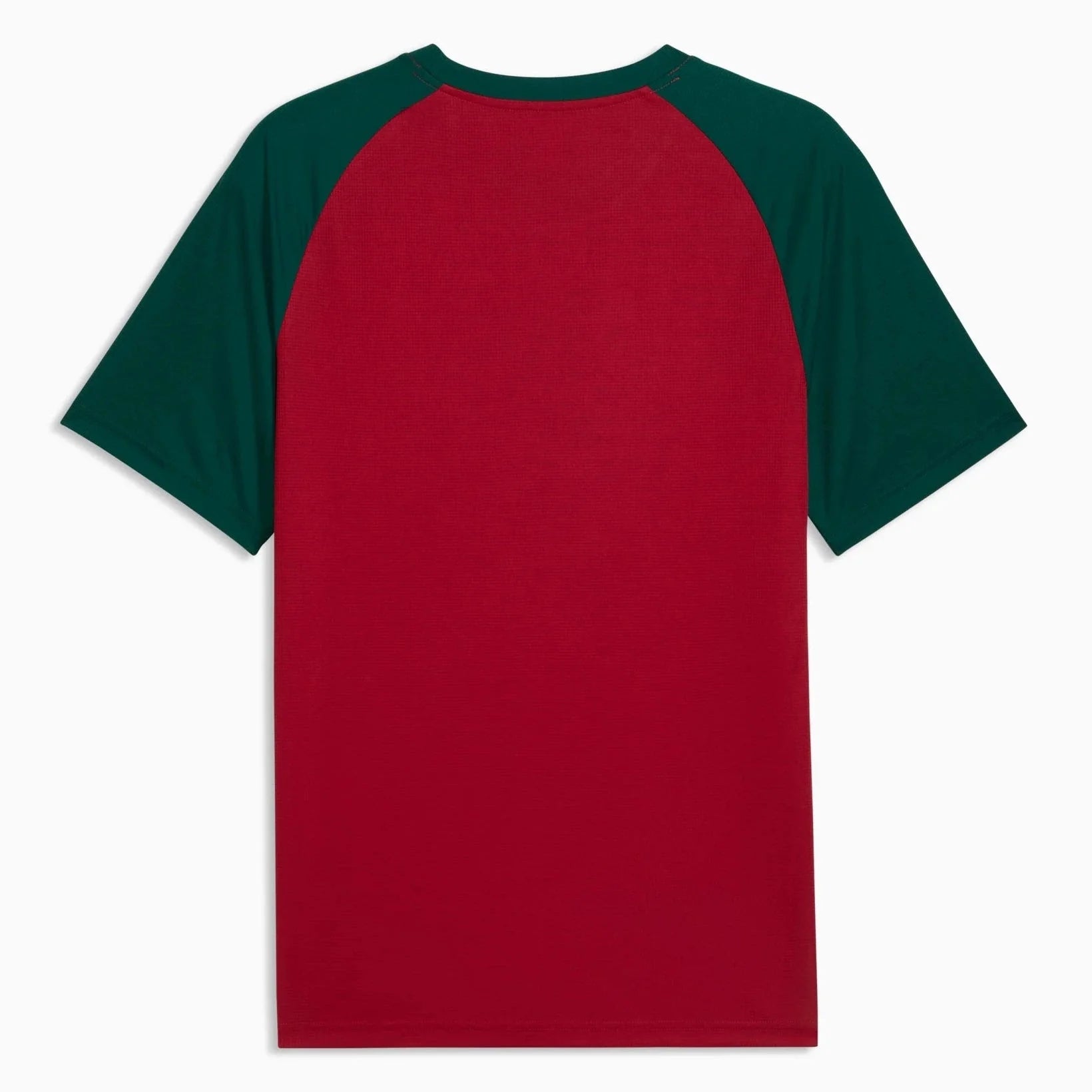 Puma 2026 Morocco Men's Pre-Match Soccer Jersey