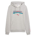 Puma 2026 Portugal Men's FtblCulture Hoodie