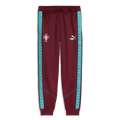 Puma 2026 Portugal Men's KING Anthem Pants