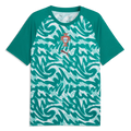 Puma 2026 Portugal Men's Pre-Match Soccer Jersey