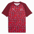 Puma 2026 Switzerland Men's Pre-Match Soccer Jersey