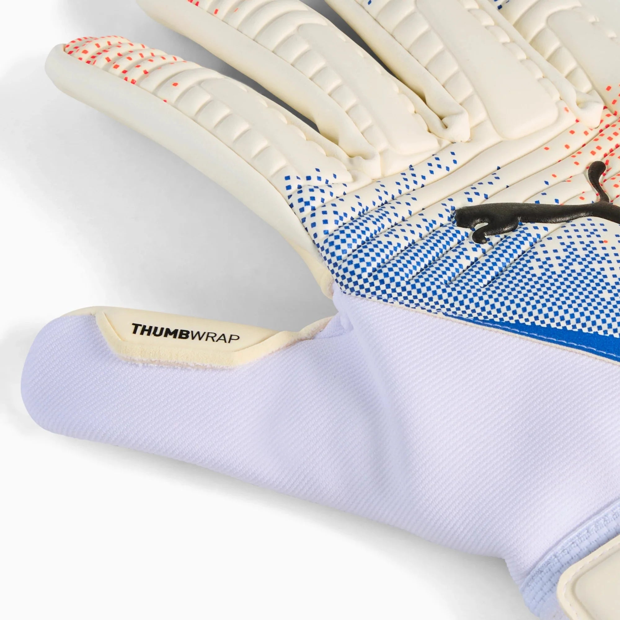 Puma Future Match NC Goalkeeper Gloves
