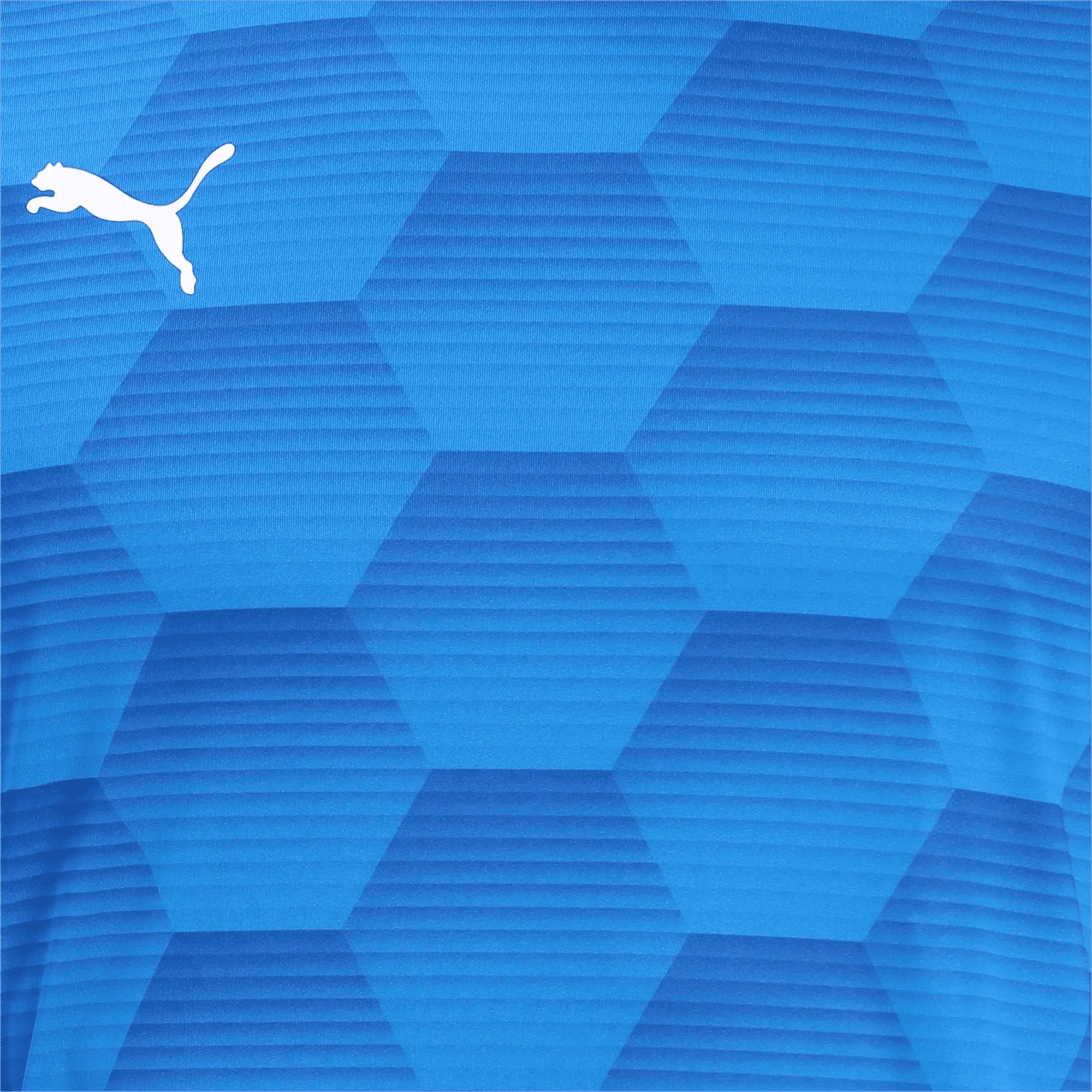 Puma Men's TeamFinal 21 Graphic Jersey