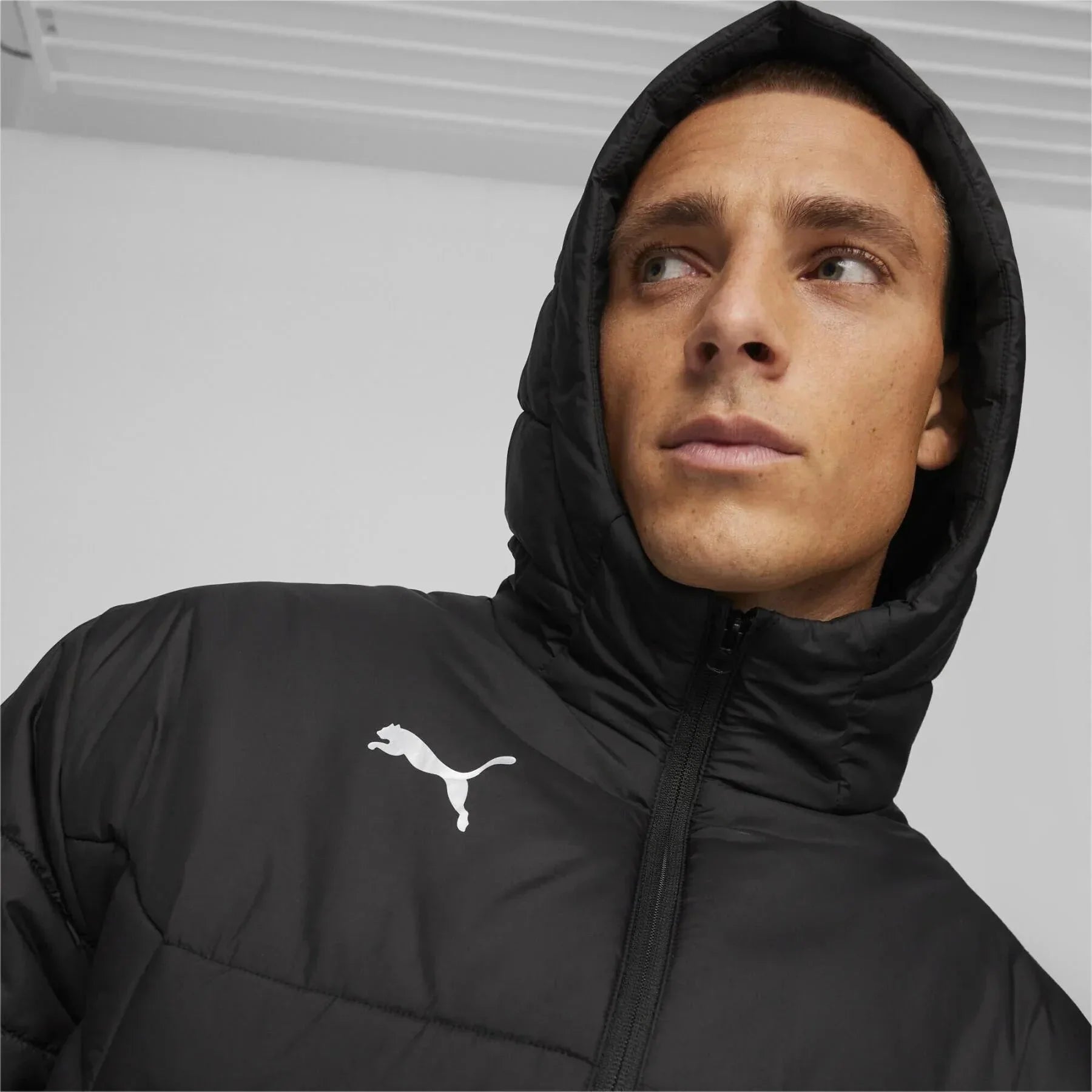 Puma Men's TeamFinal Bench Jacket