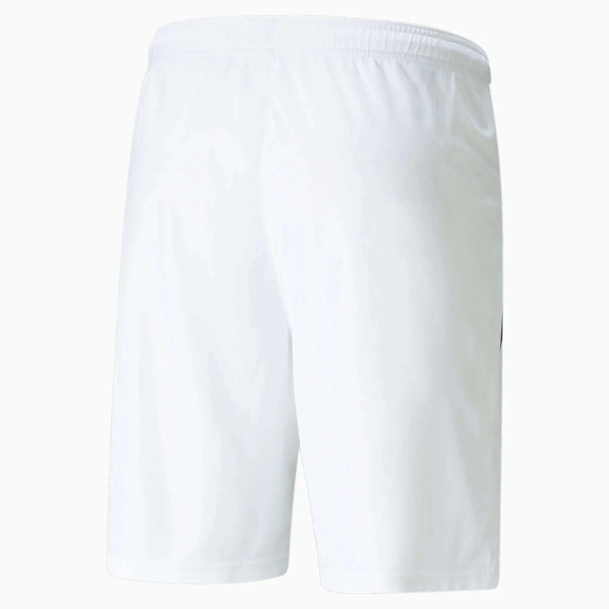 Puma Men's TeamLiga Shorts