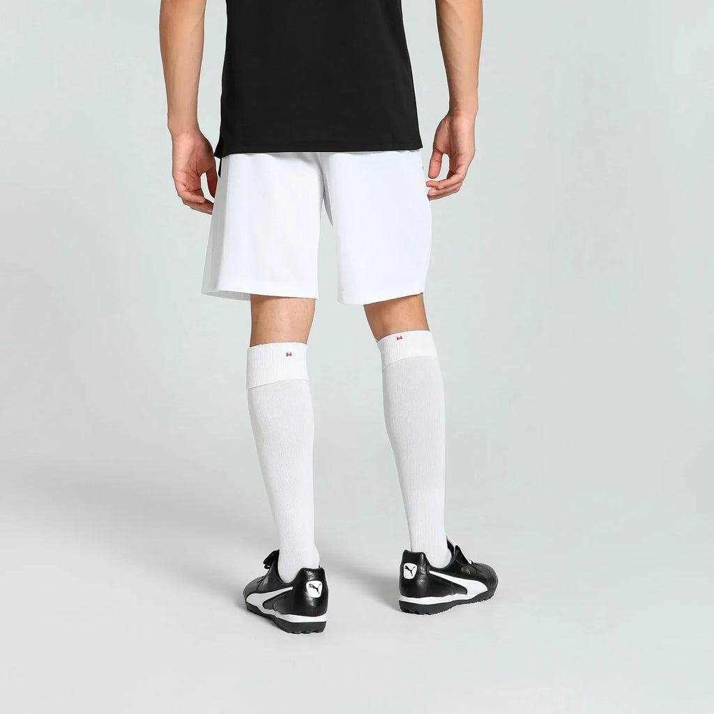 Puma Men's TeamLiga Shorts