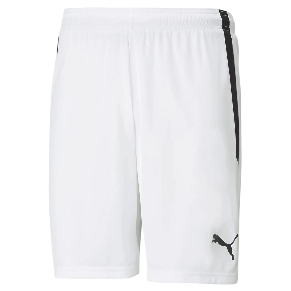 Puma Men's TeamLiga Shorts