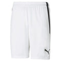 Puma Men's TeamLiga Shorts