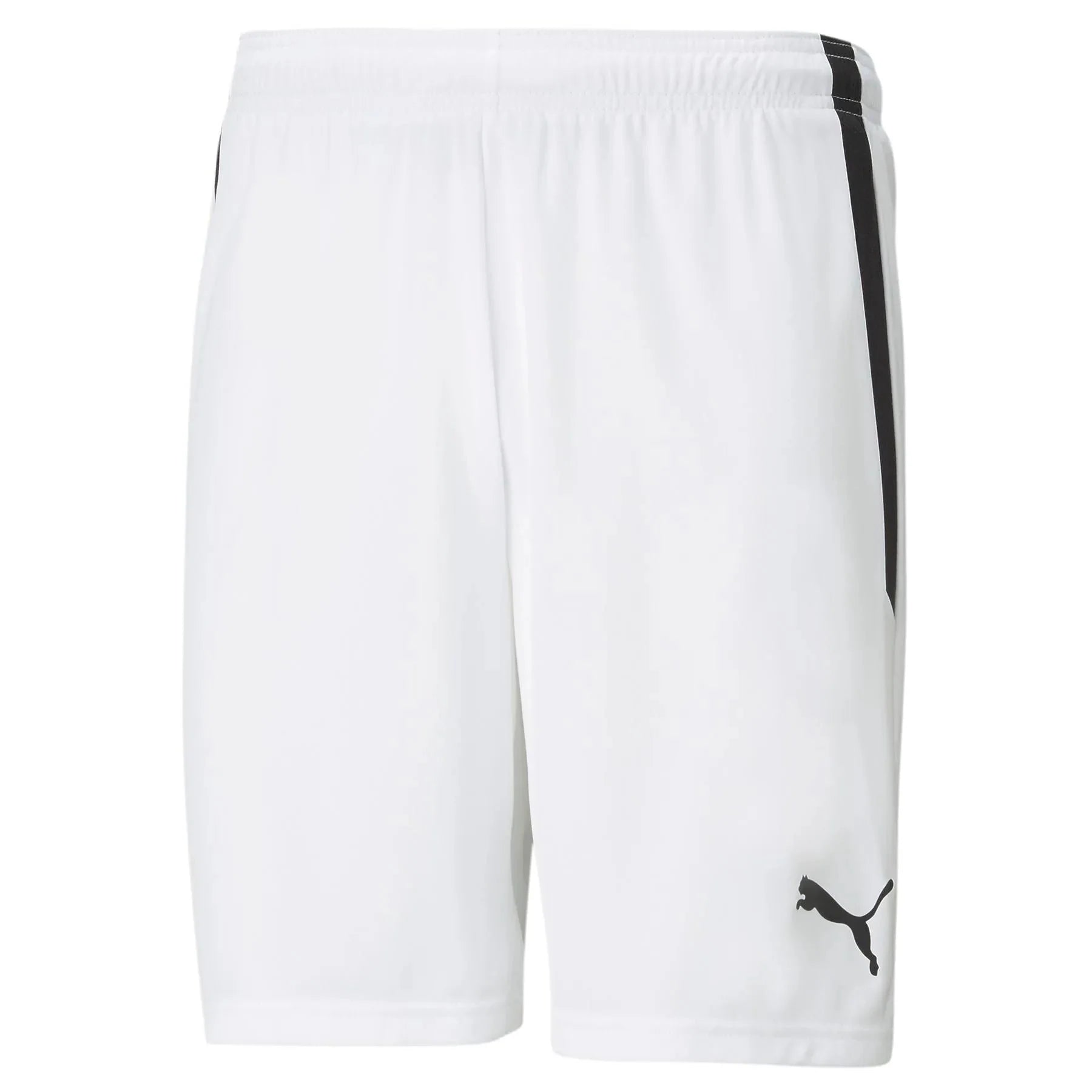 Puma Men's TeamLiga Shorts