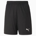 Puma Teamgoal 23 Knit Youth Shorts
