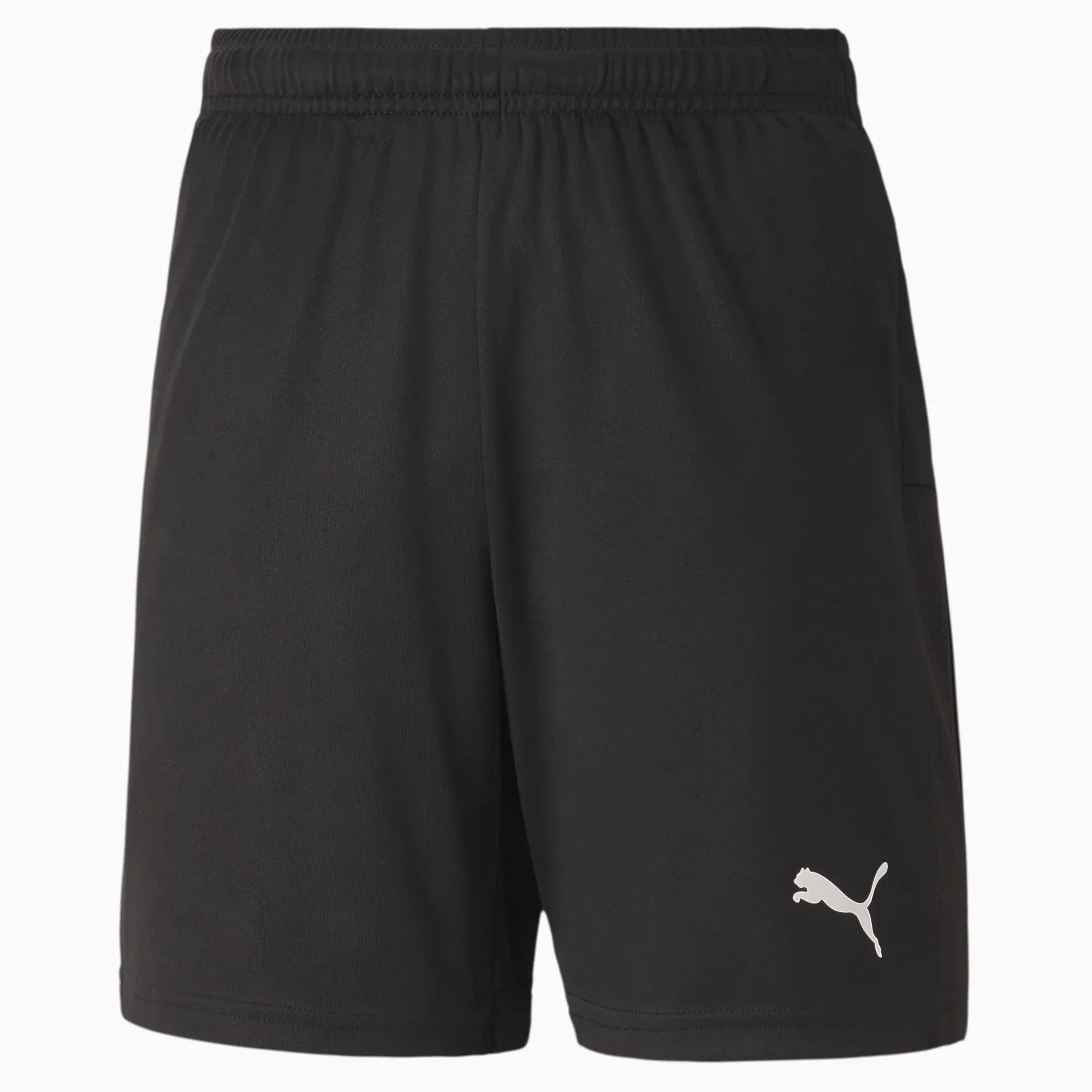 Puma Teamgoal 23 Knit Youth Shorts