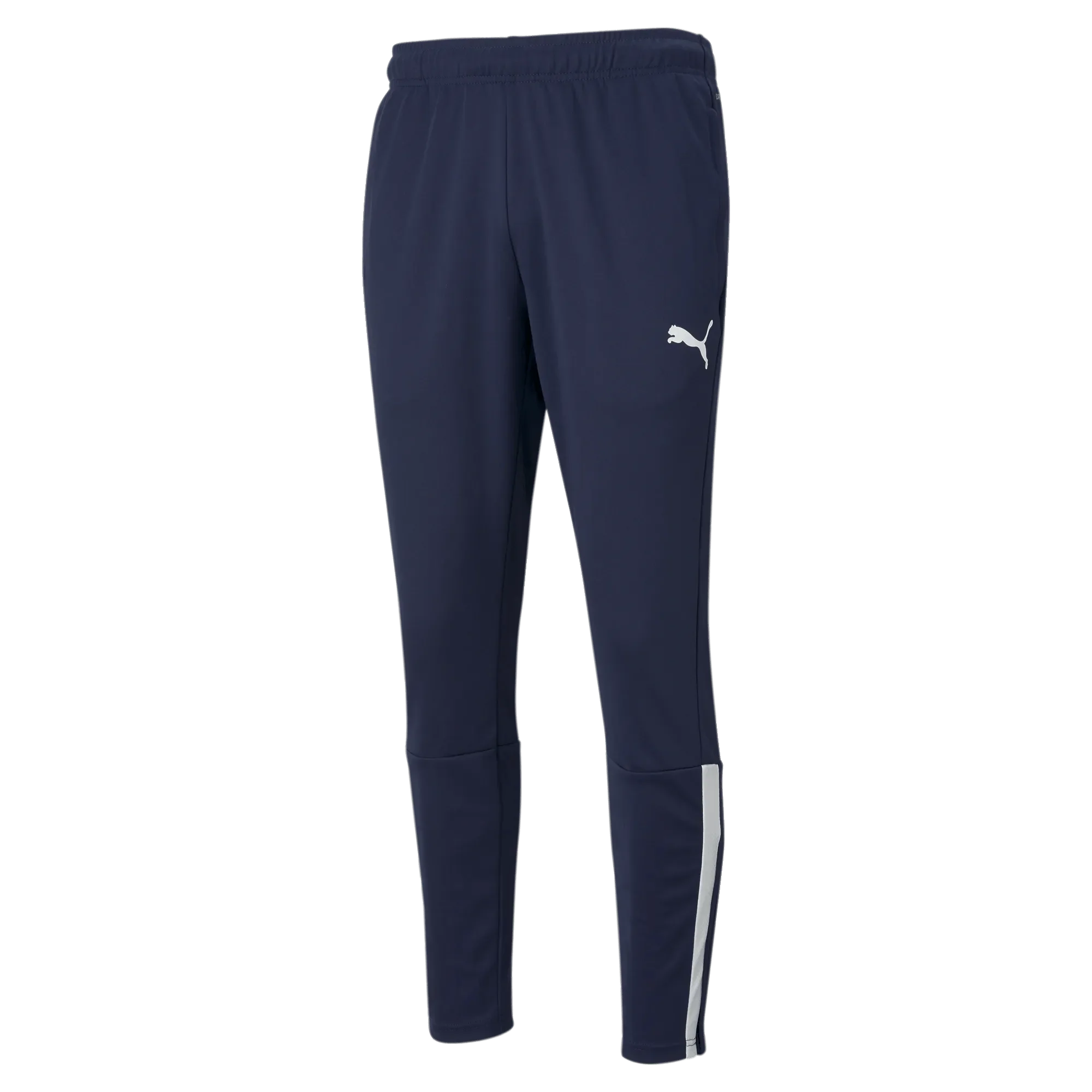 Puma TeamLiga Training Pants