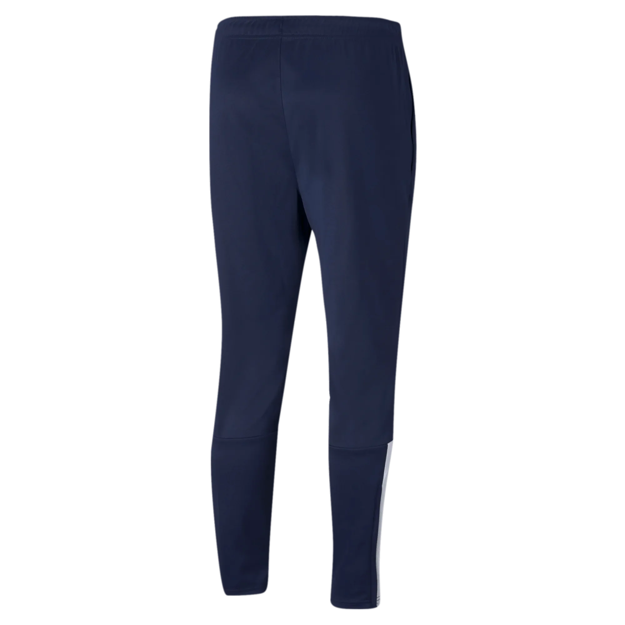 Puma TeamLiga Training Pants