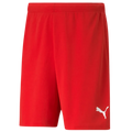 Puma Teamrise Short