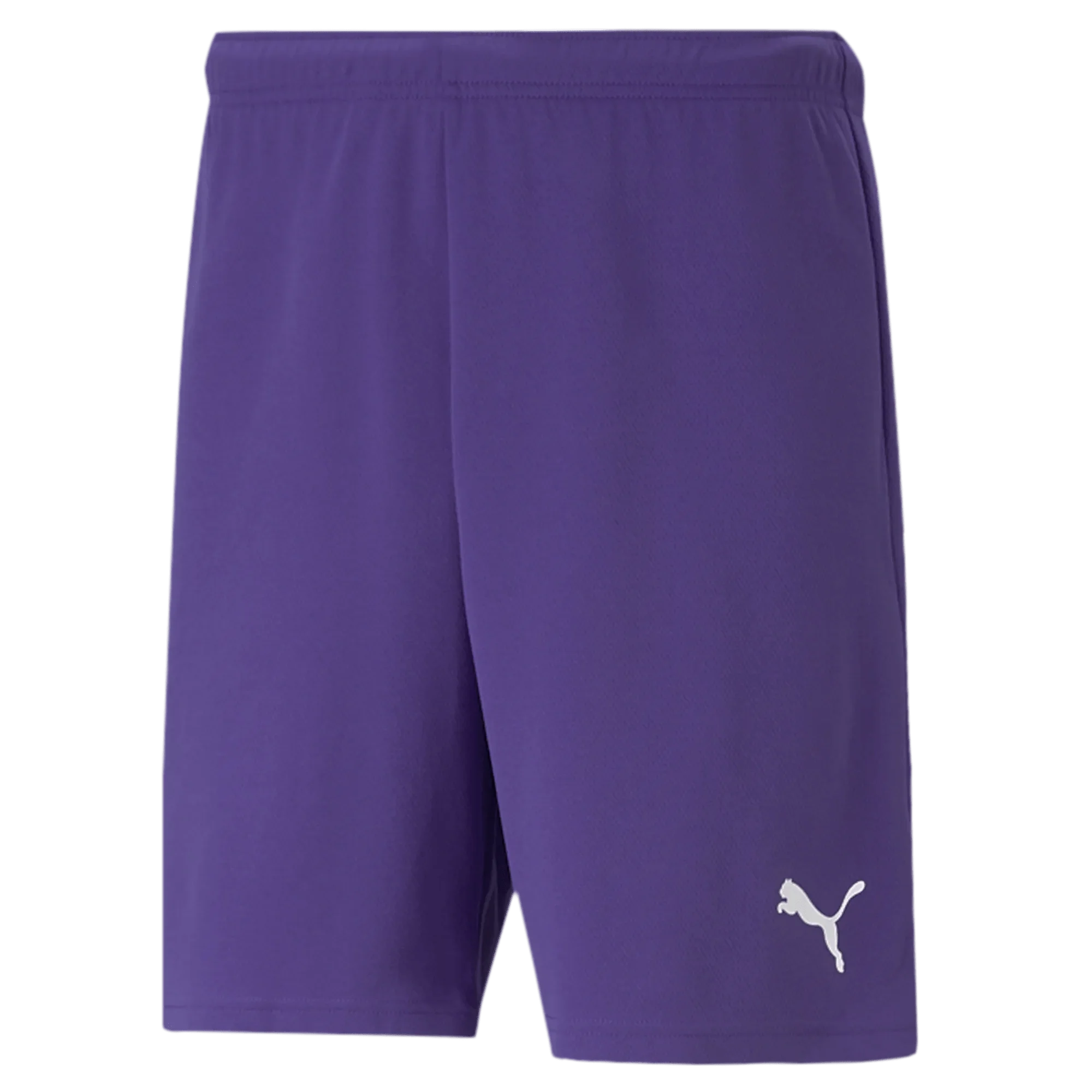 Puma Teamrise Short