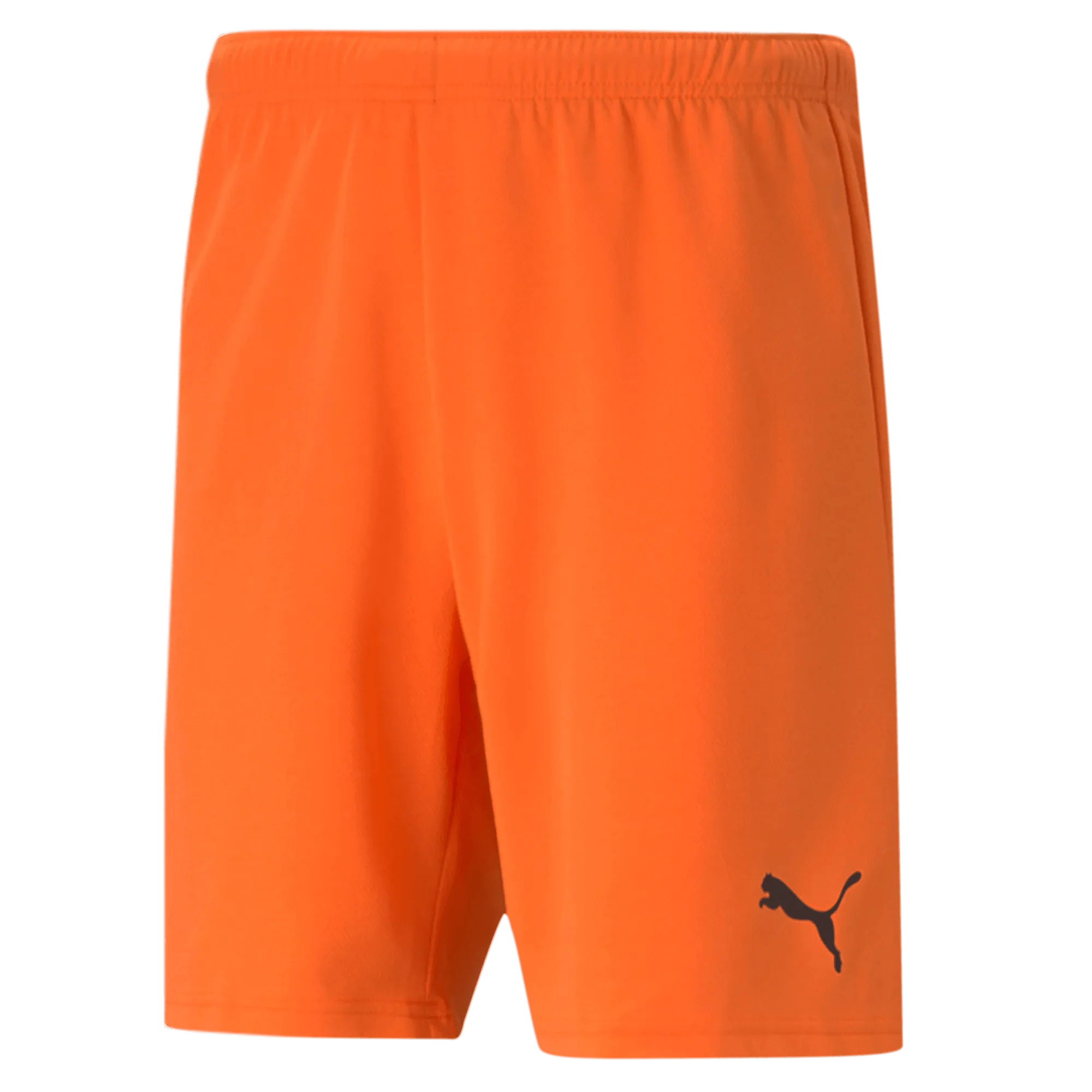 Puma Teamrise Short