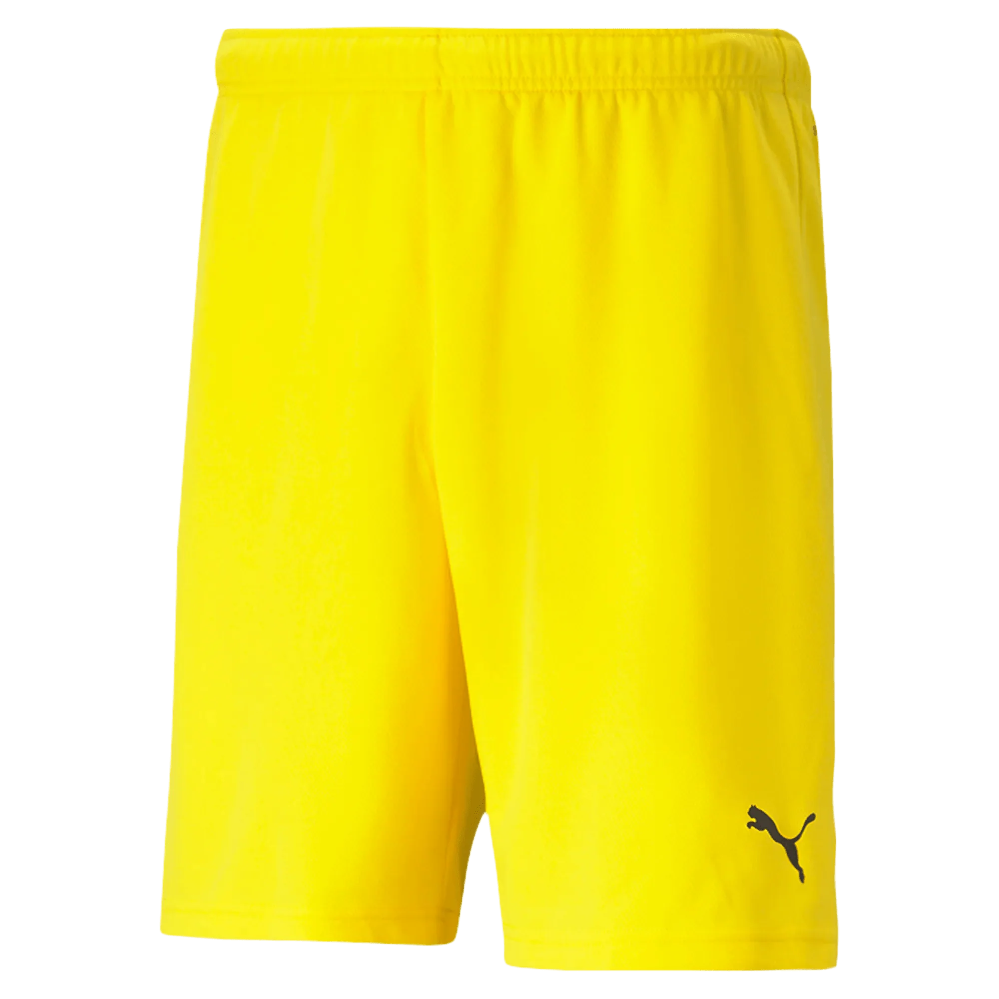 Puma Teamrise Short