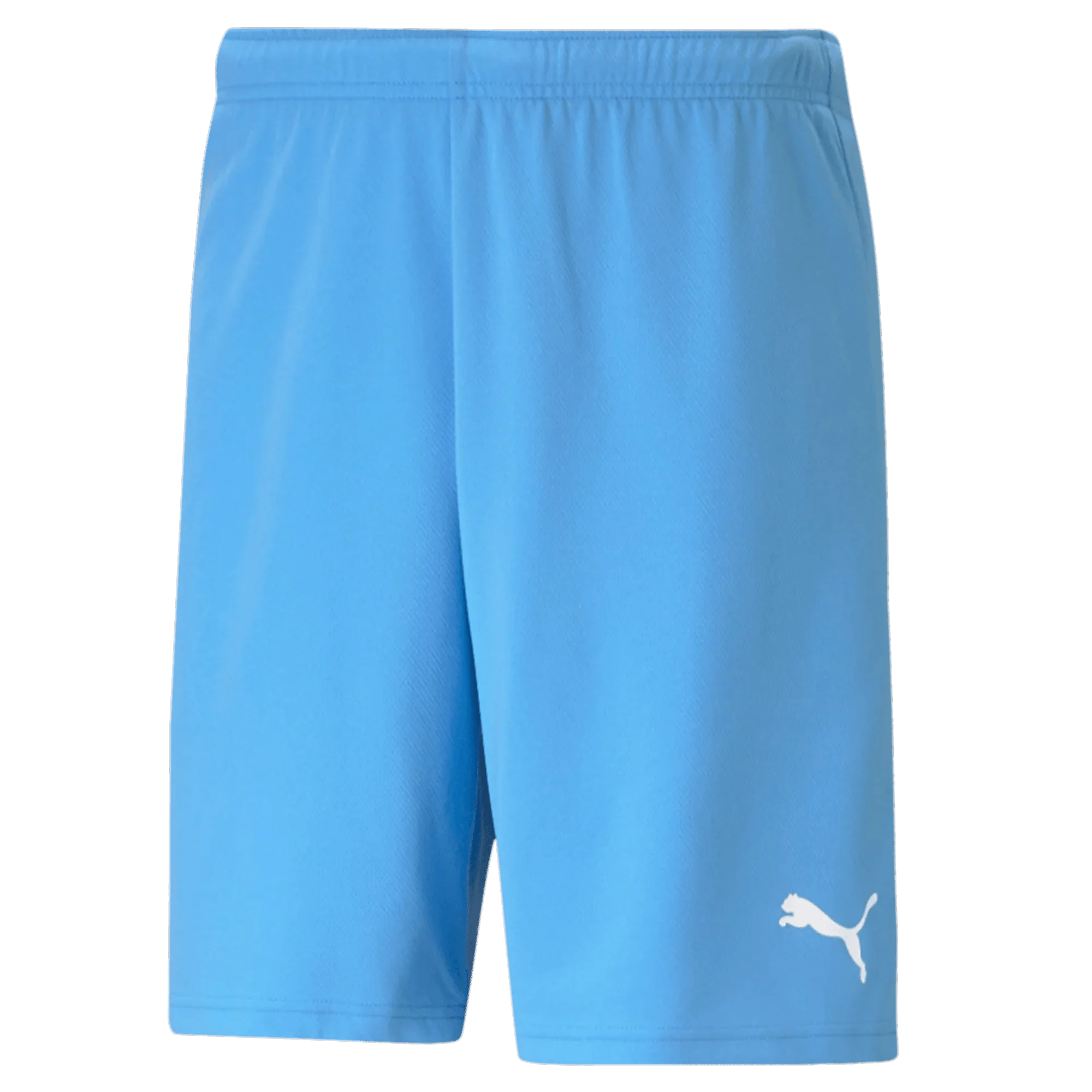 Puma Teamrise Short