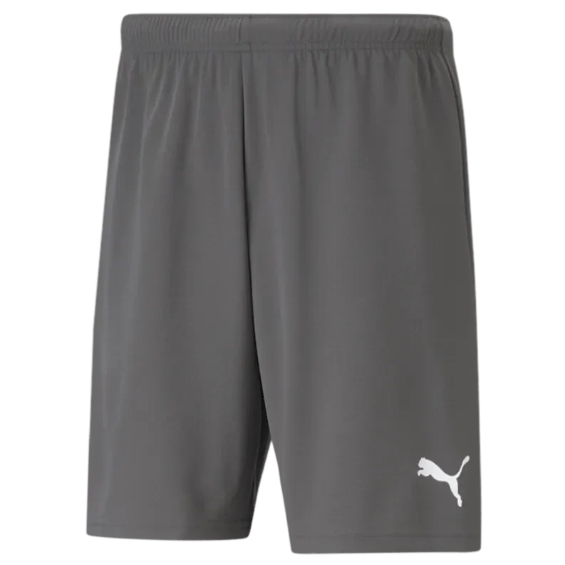 Puma Teamrise Short