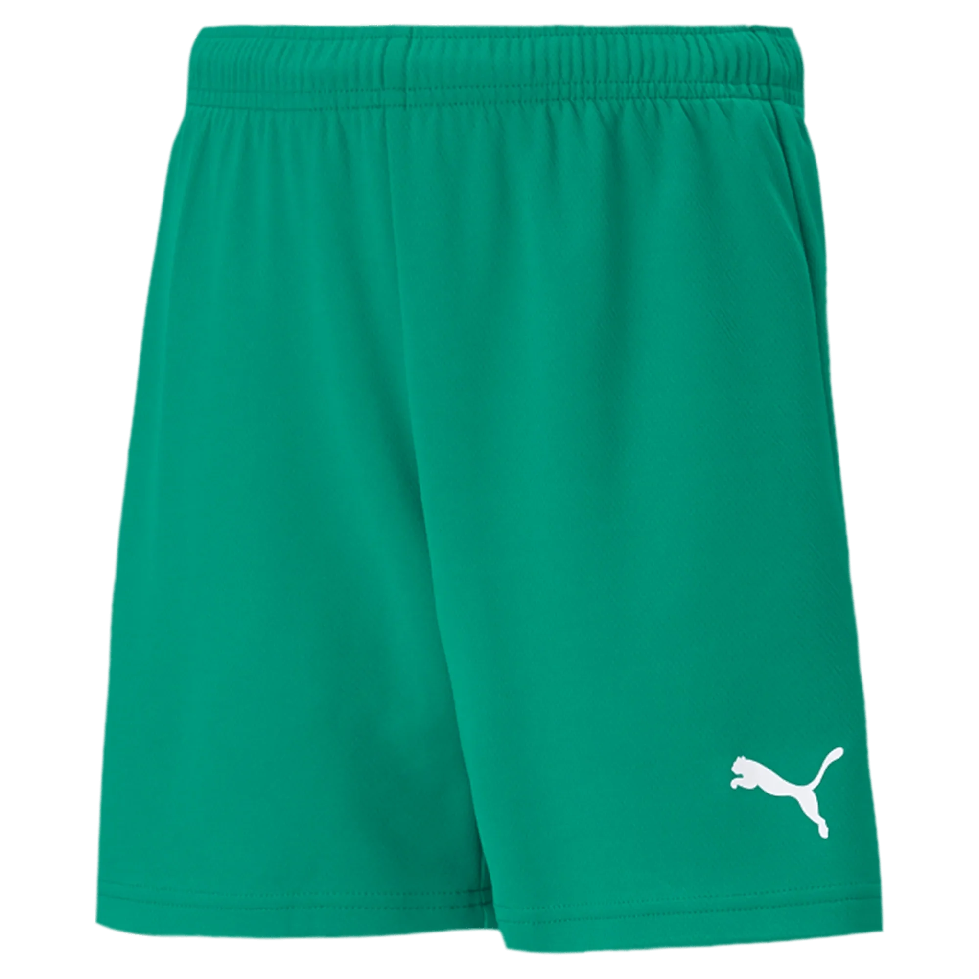 Puma Teamrise Youth Short