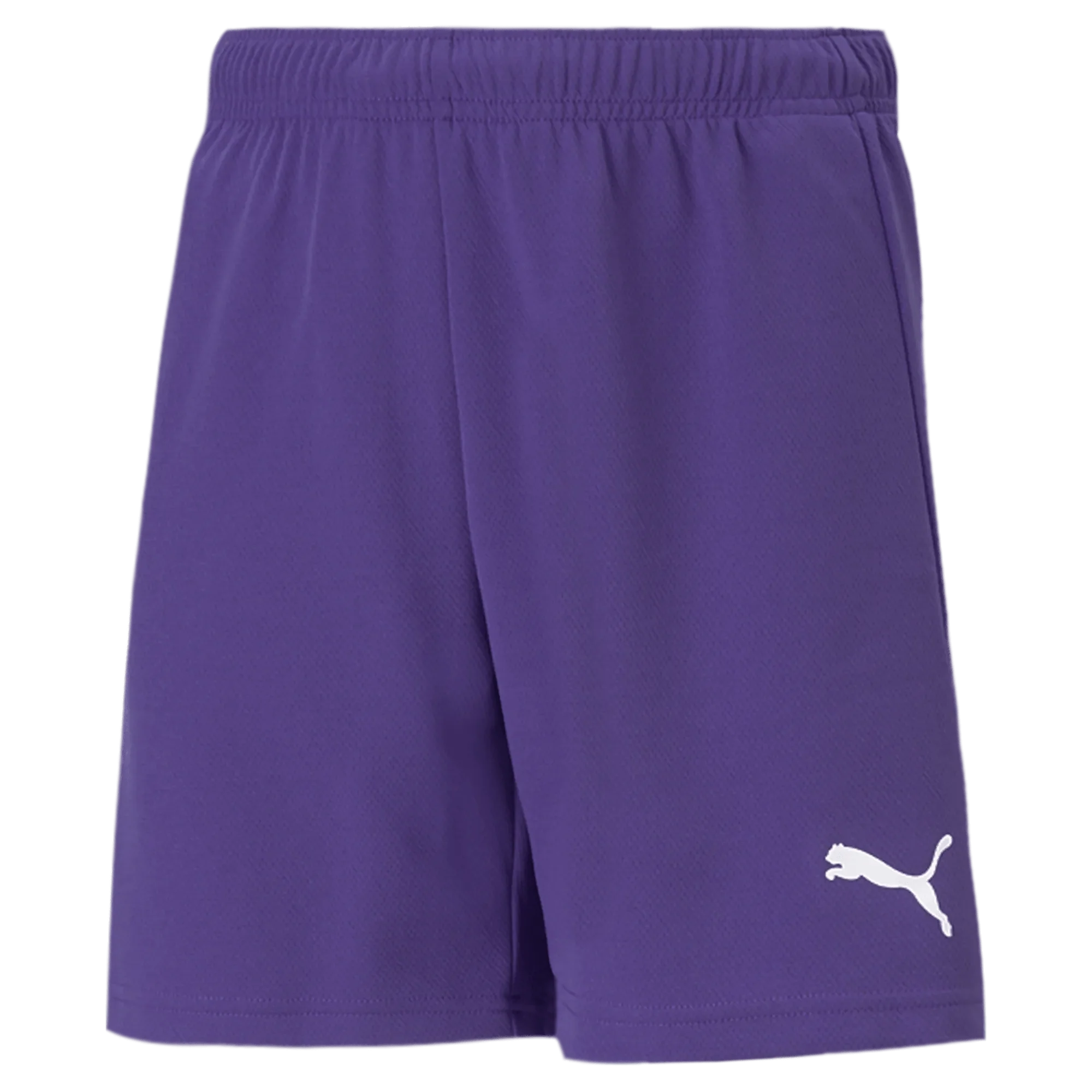 Puma Teamrise Youth Short