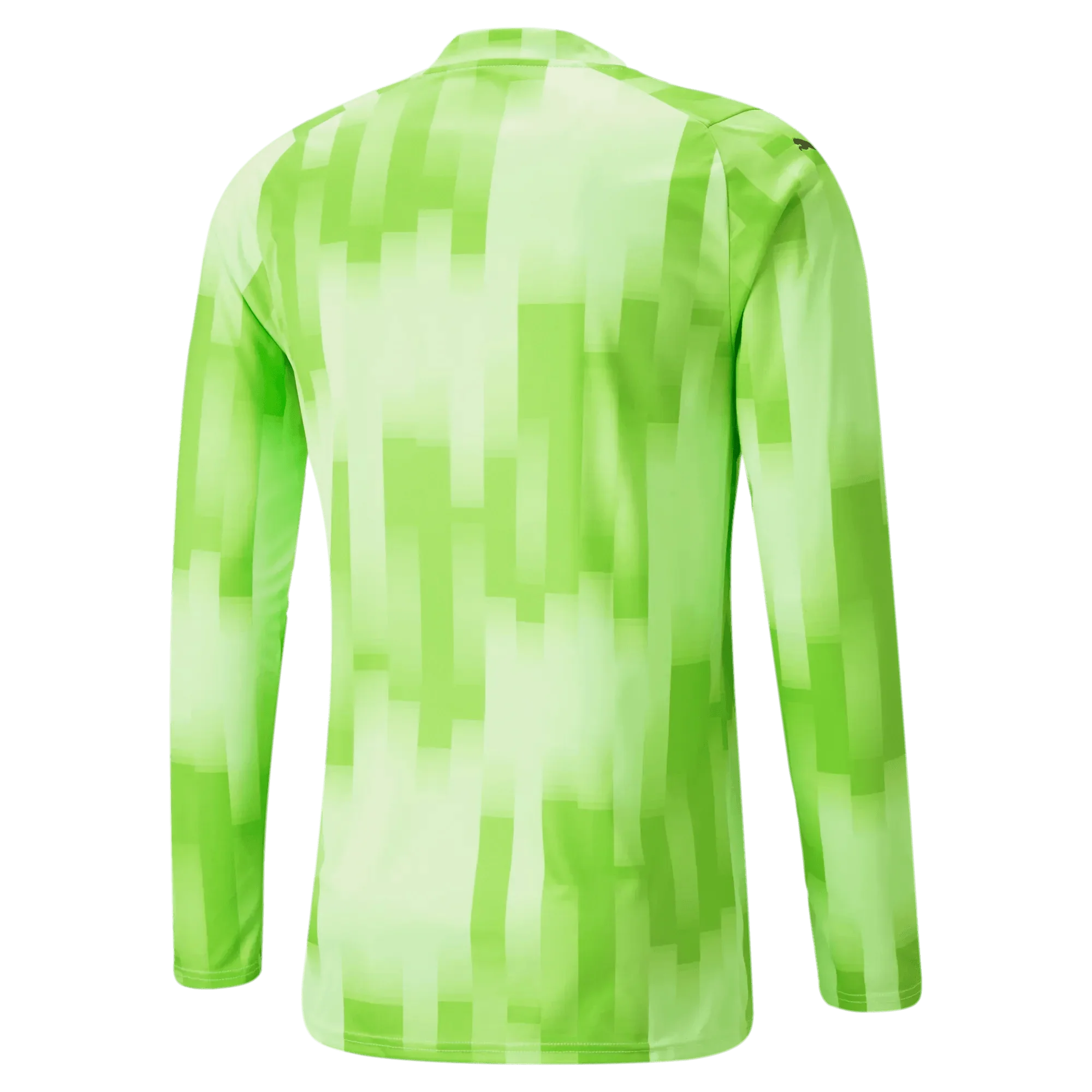 Puma Teamtarget Goalkeeper Longsleeve Mens Jersey