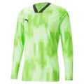 Puma Teamtarget Goalkeeper Longsleeve Mens Jersey