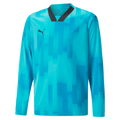 Puma Teamtarget Goalkeeper Longsleeve Youth Jersey