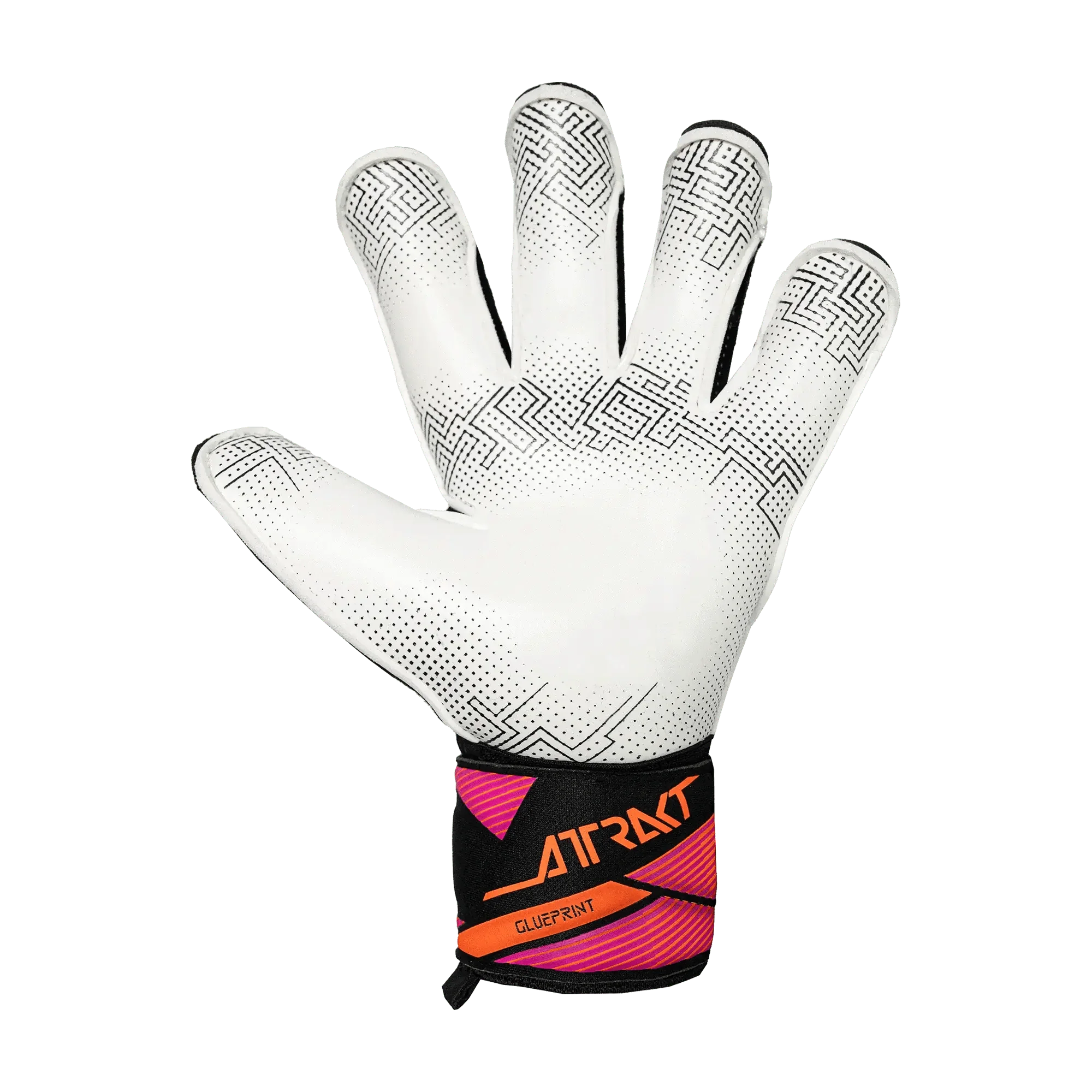 Reusch Attrakt Advance Evolution Glueprint Goalkeeper Gloves