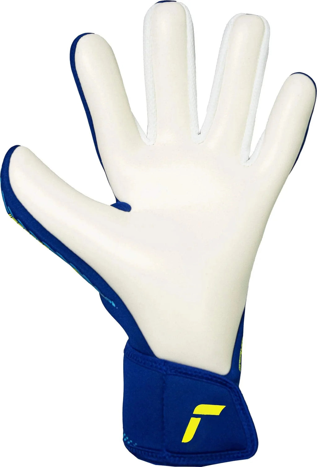 Reusch Fastgrip Advance Goalkeeper Gloves