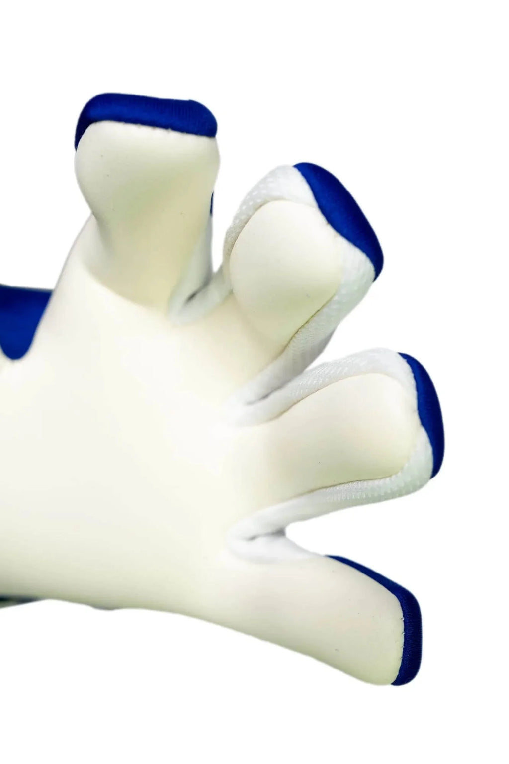 Reusch Fastgrip Advance Goalkeeper Gloves