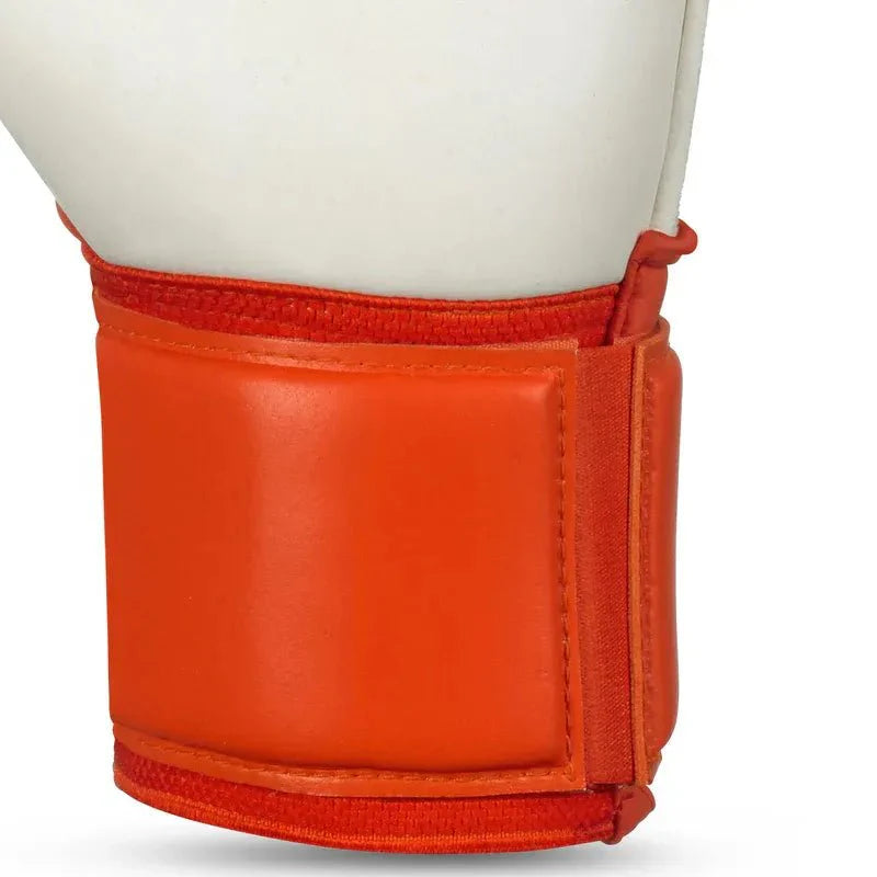 Select 34 Protection V24 Goalkeeper Gloves
