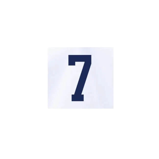 USA 2022-23 Home Reyna #7 Jersey Name Set