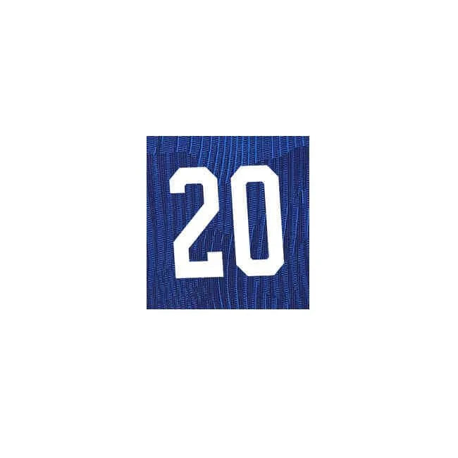 USWNT  2022/23 Away Rodman #20  Jersey Name Set (10 inch)