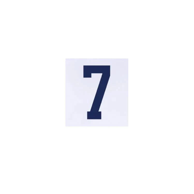 USMNT 2024/25 Home Reyna #7 Jersey Name Set