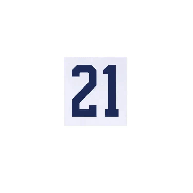 USMNT 2024/25 Home Weah #21 Jersey Name Set